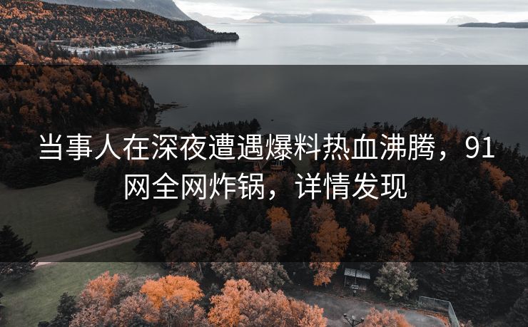 当事人在深夜遭遇爆料热血沸腾，91网全网炸锅，详情发现
