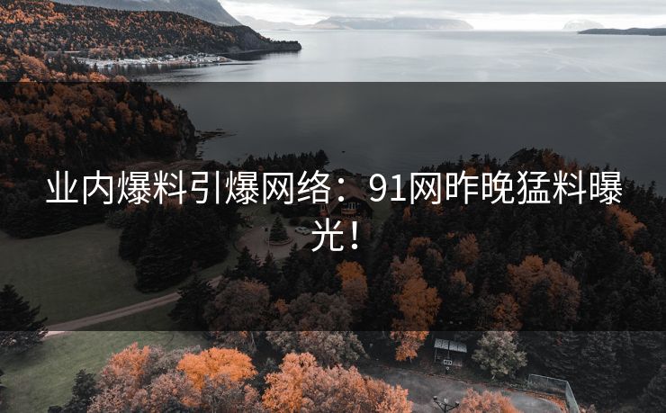 业内爆料引爆网络：91网昨晚猛料曝光！