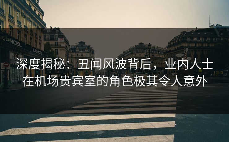 深度揭秘：丑闻风波背后，业内人士在机场贵宾室的角色极其令人意外
