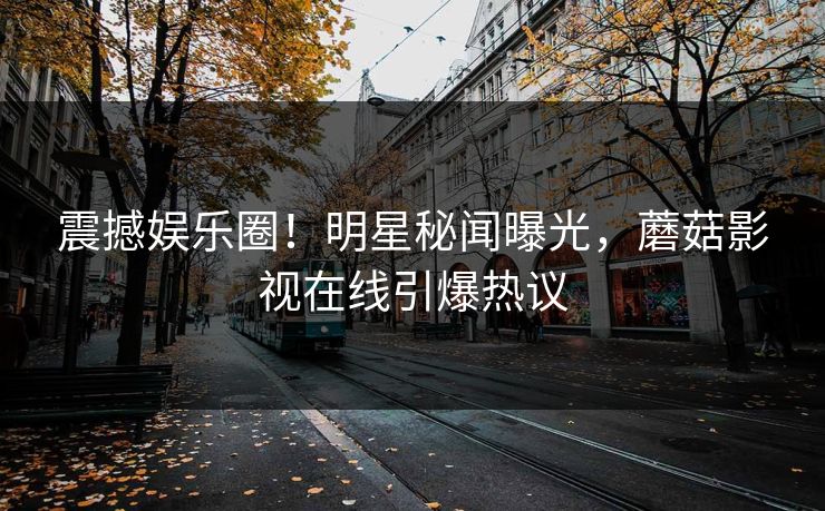 震撼娱乐圈！明星秘闻曝光，蘑菇影视在线引爆热议