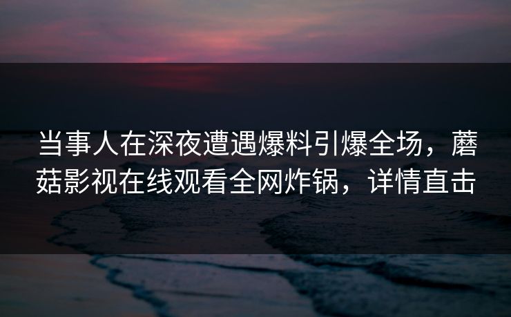 当事人在深夜遭遇爆料引爆全场，蘑菇影视在线观看全网炸锅，详情直击