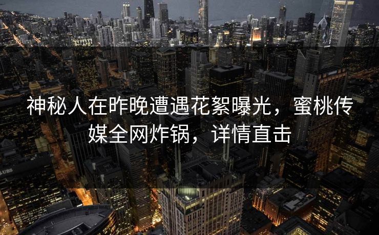 神秘人在昨晚遭遇花絮曝光，蜜桃传媒全网炸锅，详情直击