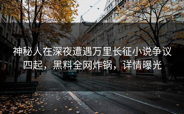 神秘人在深夜遭遇万里长征小说争议四起，黑料全网炸锅，详情曝光