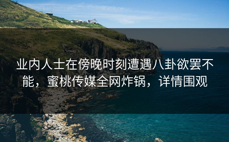 业内人士在傍晚时刻遭遇八卦欲罢不能,蜜桃传媒全网炸锅,详情围观